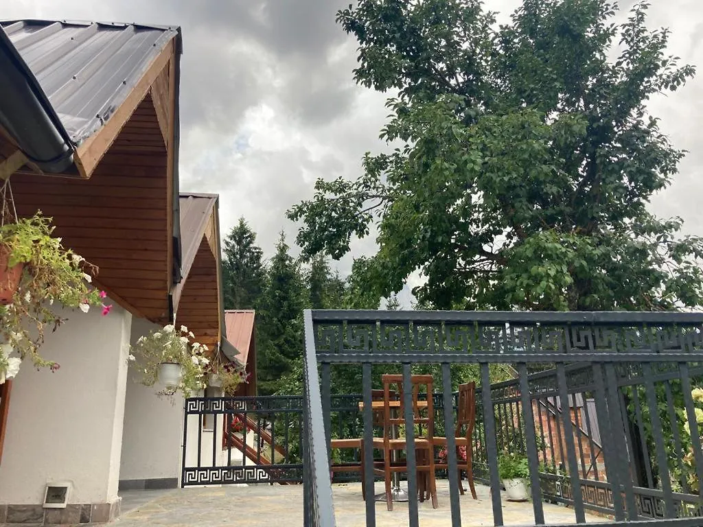 Casa de hóspedes Bujtina Arturi Hotel Valbonne