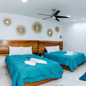 https://hotel-naomi-1.quintano-roohotels.com